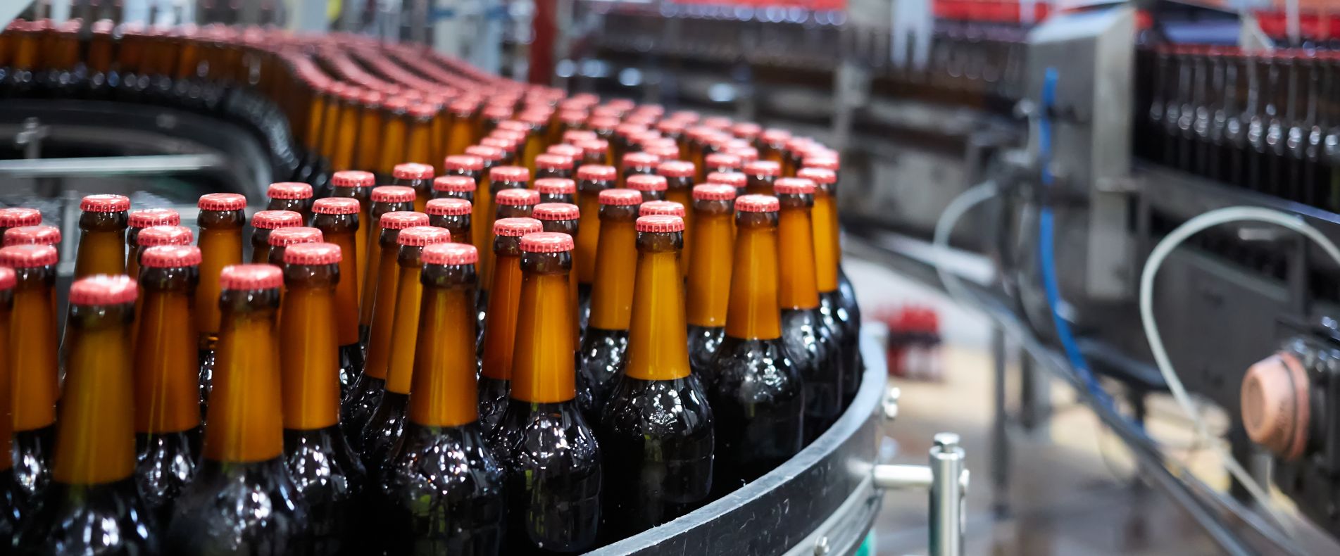 Sản xuất đồ uống